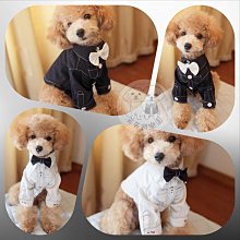 2018英倫風皮帶扣系帶粗跟馬丁靴女秋冬季白色高跟短靴百搭女靴子 歷史價格詳細信息