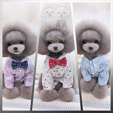 【現貨】韓版狗狗派對生日毛絨圍巾圍兜圍嘴貓咪寵物口水兜口水巾比熊犬 歷史價格詳細信息