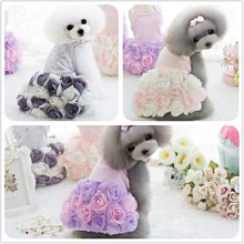 ۞芙芙遊樂園۞ petco小熊圍嘴 寵物貓咪狗狗口水巾 泰迪圍兜圓領圍巾甜美圍嘴 歷史價格詳細信息