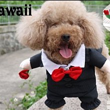 西施特 二層紗 白色小汽車棉紗手帕 紗布巾 歷史價格詳細信息