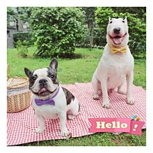 新品上市《凱西寶貝》Pigeon 貝親 嬰兒洗衣凝珠 42顆裝 洗衣凝膠【8倍清潔力】 歷史價格詳細信息