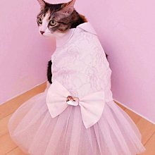 敗犬女王寵物手工衣精品館 ~狗狗西裝量身訂作~黑色線條無袖時尚西裝~可客制化 歷史價格詳細信息