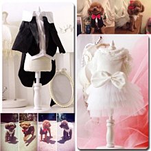 狗貓樂園-全新Felix Dog 骨力勁Q10  60錠。效期：2025/7 歷史價格詳細信息