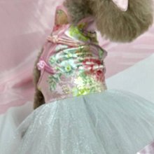 敗犬女王寵物手工衣~狗狗衣服量身訂作~熱情如火浪漫婚紗婚紗禮服(不含帽)~客制化寵物衣--大型犬-- 歷史價格詳細信息
