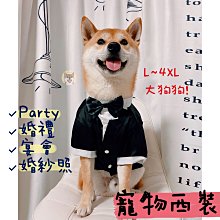 狗衣服 服西裝法斗柯基比熊泰迪小型犬結婚禮服超夯 精品 歷史價格詳細信息