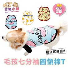 【叮咚小舖】寵物牙刷 雙頭寵物牙刷 三頭牙刷 三面牙刷 貓牙刷 狗牙刷 軟牙刷 犬貓牙刷 口腔清潔 軟牙刷 【H185】 歷史價格詳細信息