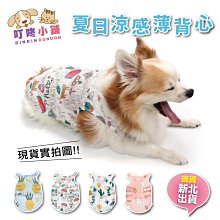 【叮咚小舖】寵物牙刷 雙頭寵物牙刷 三頭牙刷 三面牙刷 貓牙刷 狗牙刷 軟牙刷 犬貓牙刷 口腔清潔 軟牙刷 【H185】 歷史價格詳細信息