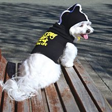 【多款I】中型犬外出胸背帶(M) 安全鎖插扣 防暴衝 范特西亞 Fantasia (狗項圈 中型狗 狗牽繩 拉繩另購) 歷史價格詳細信息