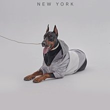 簡約時尚【美國PEHOM】可調節式雨衣⭐李佑群聯名款(XS~XL) 尼龍材質 雨天 狗衣服 狗雨衣 寵物衣服 寵物雨衣 歷史價格詳細信息