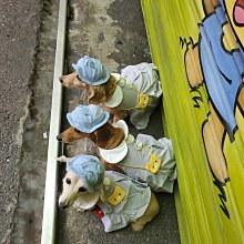 寵物春夏季薄款背心蘿蔔裙(衣服+帽子) 歷史價格詳細信息