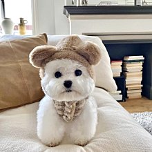 狗衣服 咪貴賓美兩腳絨衣小型犬雪納瑞狗狗衣服超夯 精品 歷史價格詳細信息