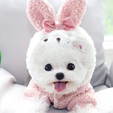 【台灣賣家】 寵物雨衣 四腳全包 雨衣 防水 柯基 法鬥 柴犬 比熊 雪納瑞 邊境 貴賓 薩摩耶 西高地 狗雨衣 米客斯 歷史價格詳細信息