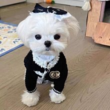 ━❤☆24H速髮熱賣春季新品寵物狗狗衣服春秋季法鬥雪納瑞泰迪柴犬貓咪比熊老花牛仔襯衫衣服 歷史價格詳細信息