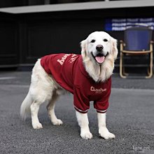 秋冬季狗狗耶誕節萬聖節喜慶麋鹿針織毛衣 狗衣服 貓咪衣服 過年寵物衣服 寵寵屋BOBOPETS 歷史價格詳細信息