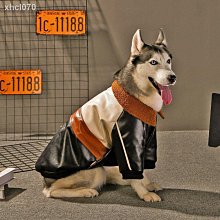 邊牧衣服中型大型犬秋冬款拉布拉多金毛大狗冬季寵物衛衣狗狗冬裝【雅怡尚品】 歷史價格詳細信息