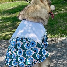 繽紛貓咪 交叉領居家哺乳洋【HC5455】 歷史價格詳細信息