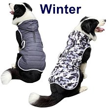 ????????超取免運????????義大利Giurlani 喬凡尼葵花油(1000ml) 油品穩定耐高溫 現貨 歷史價格詳細信息