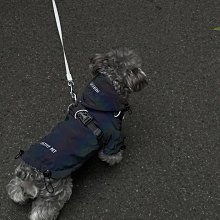 雪納瑞泰迪鑰匙圈吊飾-滿599免運 歷史價格詳細信息