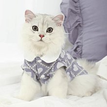 貓咪衣服冬裝幼貓冬季布偶貓防掉毛秋冬寵物貓貓冬天小貓保暖毛衣【雅怡尚品】 歷史價格詳細信息