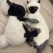 寵物外套 冬季保暖 金毛 拉布拉多 邊牧 杜賓 馬犬 德牧 柴犬 大型犬衣服 狗衣服 狗背心 大型狗衣服 歷史價格詳細信息