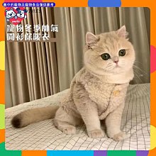 狗狗衣服冬季保暖羽絨棉衣柴犬金毛薩摩中型大型犬寵物衣服秋冬裝【雅怡尚品】 歷史價格詳細信息