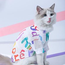 貓咪衣服冬裝幼貓冬季布偶貓防掉毛秋冬寵物貓貓冬天小貓保暖毛衣【雅怡尚品】 歷史價格詳細信息