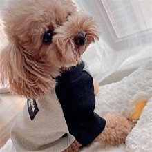【ligoo.PET】特價春夏新款寵物泰迪比熊貓咪貴賓裙子博美小型犬雪納瑞狗狗衣服 歷史價格詳細信息