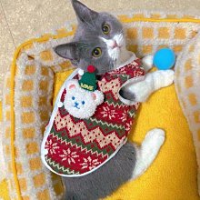 寵物聖誕服飾 寵物冬裝 狗狗衣服 狗狗聖誕裝 小貓衣服 小貓聖誕裝 加厚裙子 寵物變裝 歷史價格詳細信息