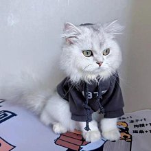 連帽保暖狗狗衣服 冬天寵物衣服 貓咪衣服 法鬥泰迪 超萌星星狗狗衣服 ins寵物毛衣針織衫 可愛卡通寵物衣服 歷史價格詳細信息