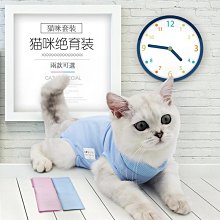 防彈斷食：跟著醫師週末斷食，排毒養生更健康 / 三浦直樹 著 歷史價格詳細信息