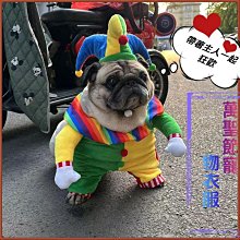 搞笑寵物變身裝 寵物貓咪狗狗搞怪衣服變裝(4號)_☆找好物FINDGOODS☆ 歷史價格詳細信息