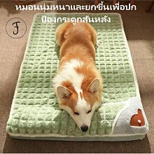 【狗貓兼用】日本 犬猫工房 車用寵物安全帶 獸醫監製 安全繩 寵物牽繩 寵物用安全帶 汽車寵物繩 防暴衝 牽引繩 安全扣❤JP 歷史價格詳細信息