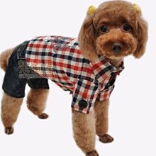 《春天》骷髏偵探1古者權杖(全1冊)德瑞克.藍迪【頭大大-推理小說】十12◎BY6 歷史價格詳細信息