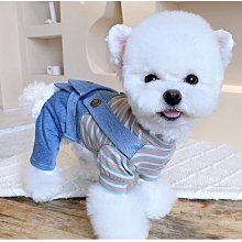 【美帶家】吊帶夾 素色吊帶 Y型吊帶 三夾 背帶夾  彈性鬆緊帶 吊帶褲 吊褲帶 背帶 英倫風格 紳士吊帶(20mm) 歷史價格詳細信息