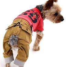 2色 日本公司貨 KIPROSTAR PRO-B130M 商用 手動式 剉冰 刨冰 營業用 可調粗細 日本鋼刀片 歷史價格詳細信息