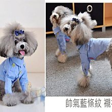 精品寵物氣墊軟針梳泰迪拉毛開結爆毛順毛梳毛貓專用去浮毛梳子小白梳 歷史價格詳細信息