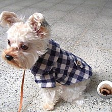 狗衣狗服│【秋冬款】cute中國風紅包花草刺繡旗袍唐裝-藍色(拜年必備款) 歷史價格詳細信息