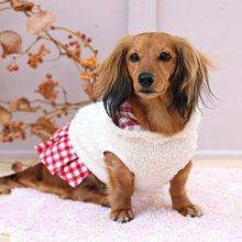 「犬と生活」犬貓用寵物暖冬衣 兩件式連身貼腿褲裝 搭配 白色針織上衣 2號 歷史價格詳細信息