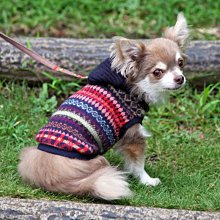 「犬と生活」犬貓用寵物暖冬衣 兩件式連身貼腿褲裝 搭配 白色針織上衣 2號 歷史價格詳細信息