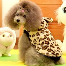 【米狗屋】數字運動吊帶生理褲-紅色S號、水藍S號，深藍S號 歷史價格詳細信息