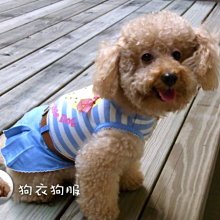 狗衣狗服│【春夏款】日本PETCO派可粉嫩愛心條紋雙面內搭衣/可愛打底內搭T-灰色L號 歷史價格詳細信息