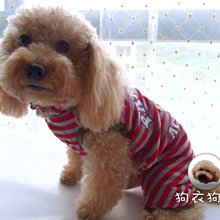 狗衣狗服│【秋冬款】cute中國風紅包花草刺繡旗袍唐裝-藍色(拜年必備款) 歷史價格詳細信息