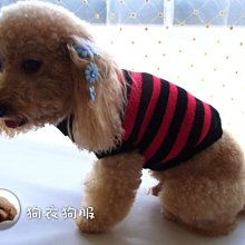 狗衣狗服│【秋冬款】cute中國風紅包花草刺繡旗袍唐裝-藍色(拜年必備款) 歷史價格詳細信息