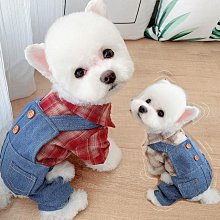 【美帶家】吊帶夾 素色吊帶 Y型吊帶 三夾 背帶夾  彈性鬆緊帶 吊帶褲 吊褲帶 背帶 英倫風格 紳士吊帶(20mm) 歷史價格詳細信息