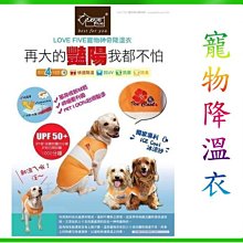小寵降溫冰涼墊 倉鼠冰涼水晶床 倉鼠豚鼠黃金鼠等小寵皆適用 寵物用品 典贊創意 天竺鼠車車 PUI 倉鼠用品 歷史價格詳細信息