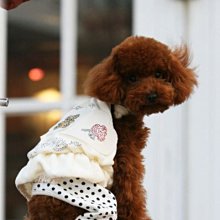 超萌白咪德文捲毛黑毛絨玩偶公仔送生日禮物娃娃 歷史價格詳細信息