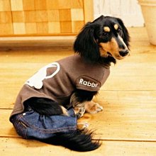 【毛毛領S-XXL號】美國LEVIS Sherpa Trucker Jacket 水洗藍 丹寧 牛仔外套保暖絨裡夾克優惠 歷史價格詳細信息