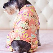 精品寵物狗狗嘴套口罩嘴罩防亂吃亂叫防止亂咬防舔中大型犬嘴巴套小型 歷史價格詳細信息