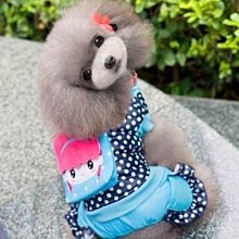 精品寵物狗狗嘴套口罩嘴罩防亂吃亂叫防止亂咬防舔中大型犬嘴巴套小型 歷史價格詳細信息