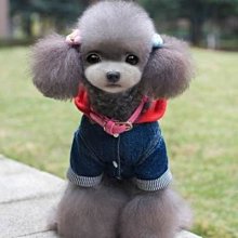 精品寵物狗狗嘴套口罩嘴罩防亂吃亂叫防止亂咬防舔中大型犬嘴巴套小型 歷史價格詳細信息